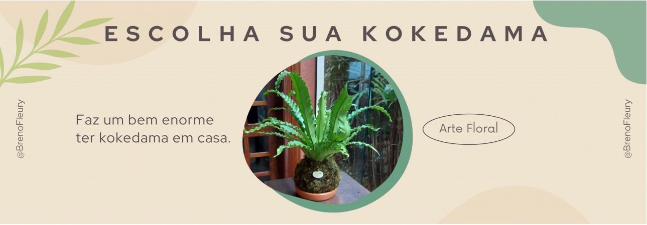 Kokedama