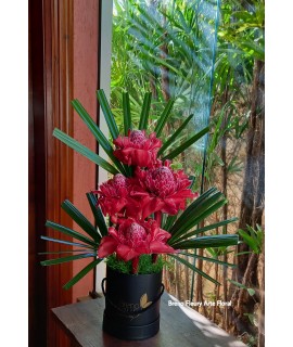 Arranjo Tropical Arranjo Tropical