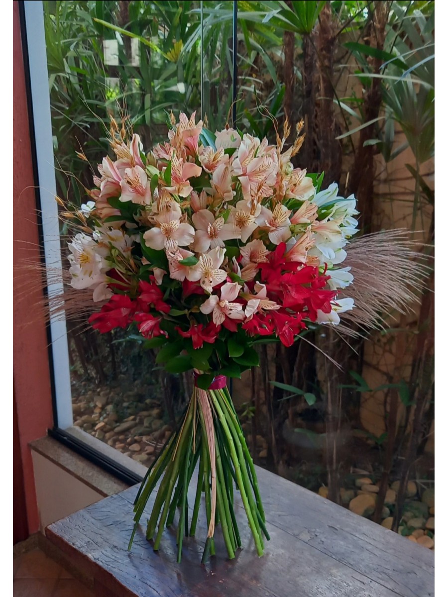 Alstromerias 